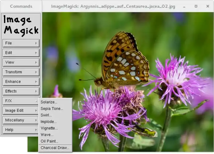 ImageMagick 运行界面实测截图 2