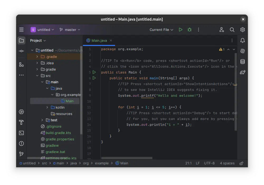IntelliJ IDEA 官方运行界面实测