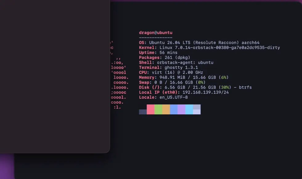 OrbStack 运行界面实测截图 2